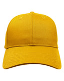 Big Accessories BX020 6 Panel Structured Twill Unisex Cap
